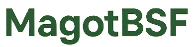 Magot BSF
